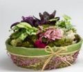 Burlap and Bows Miniature Gardens